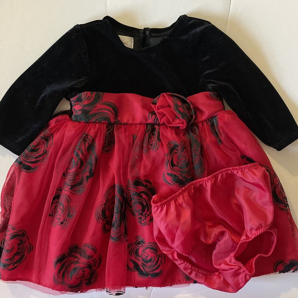 Mia & Mimi Full Skirt Red Floral Tulle Dress With Bottoms Size 12M
